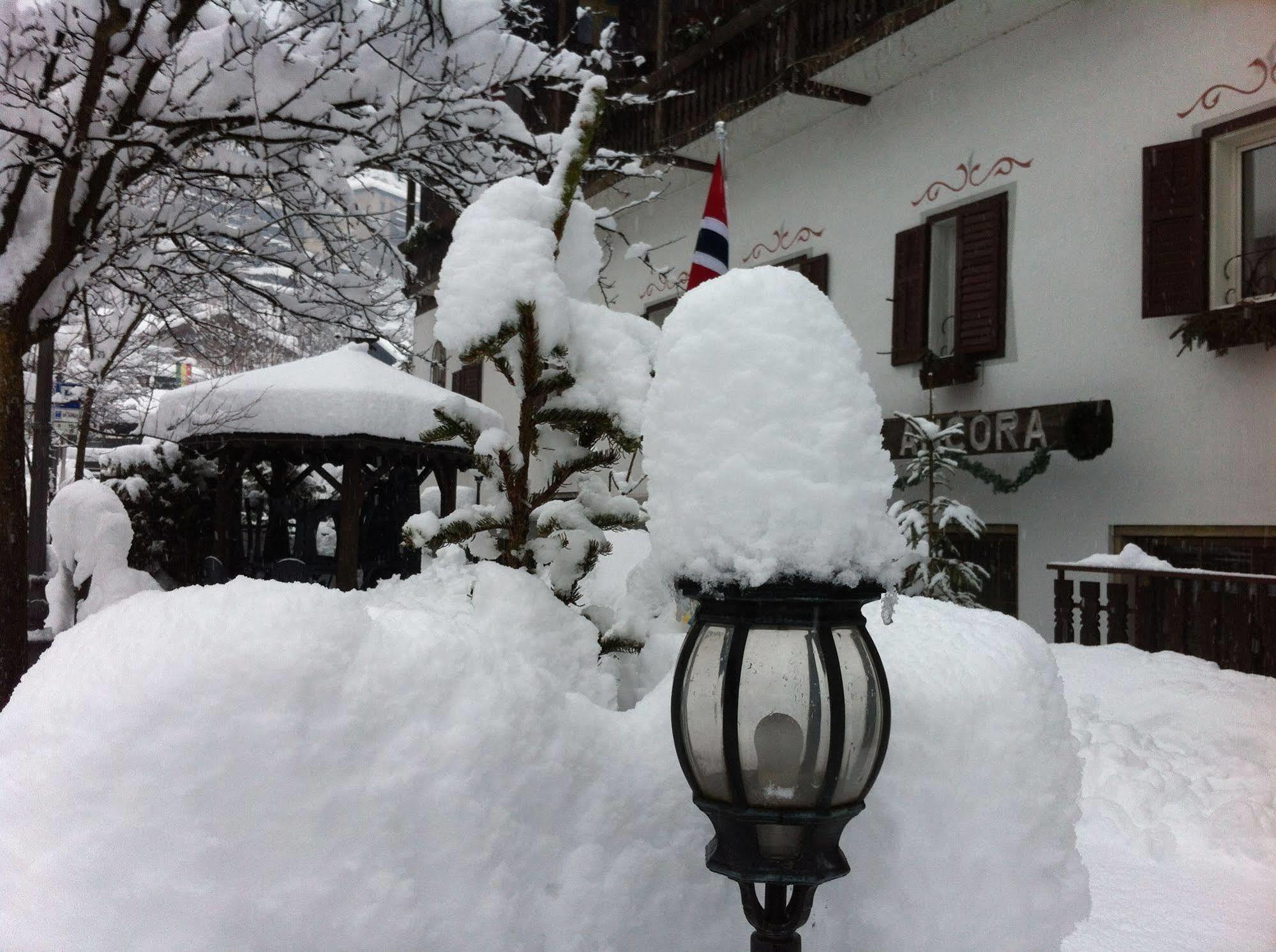 Hotel Ancora Castello-Molina di Fiemme Ngoại thất bức ảnh